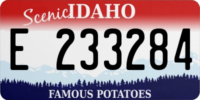 ID license plate E233284