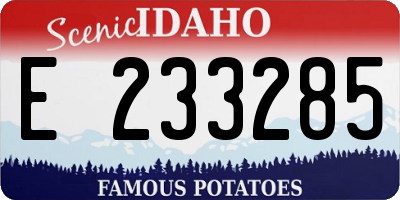 ID license plate E233285