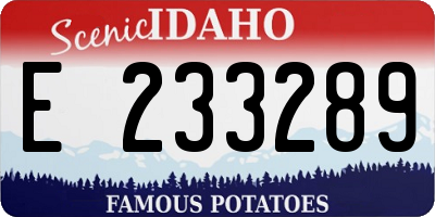 ID license plate E233289
