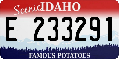ID license plate E233291
