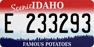 ID license plate E233293