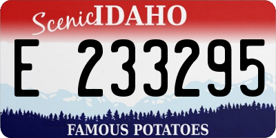 ID license plate E233295