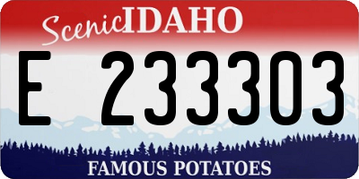 ID license plate E233303