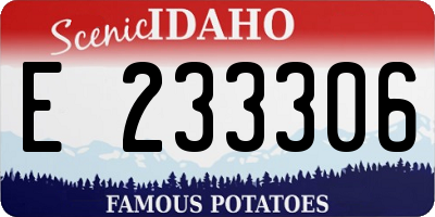 ID license plate E233306