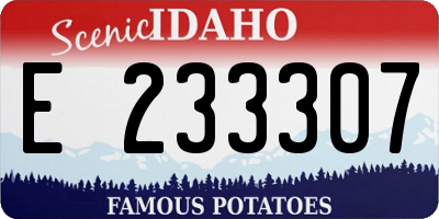 ID license plate E233307