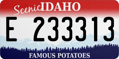 ID license plate E233313