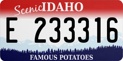 ID license plate E233316