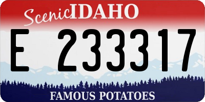 ID license plate E233317