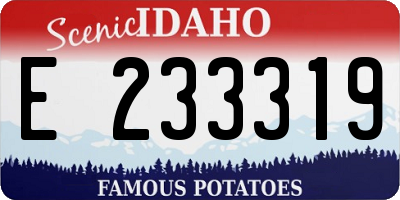ID license plate E233319