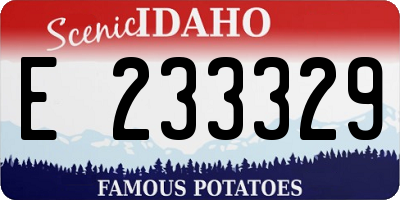 ID license plate E233329
