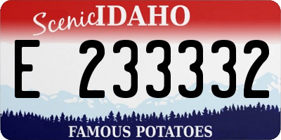 ID license plate E233332