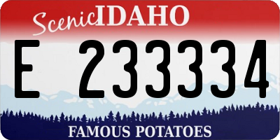 ID license plate E233334