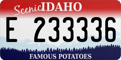 ID license plate E233336