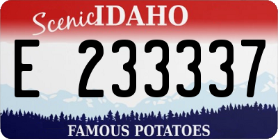 ID license plate E233337