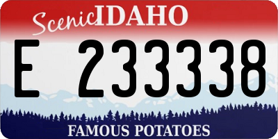 ID license plate E233338