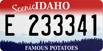 ID license plate E233341