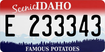 ID license plate E233343