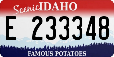 ID license plate E233348