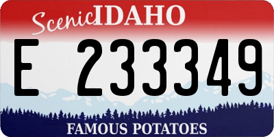 ID license plate E233349