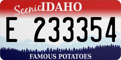 ID license plate E233354