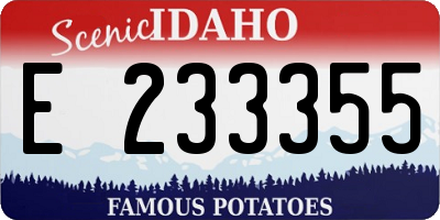 ID license plate E233355