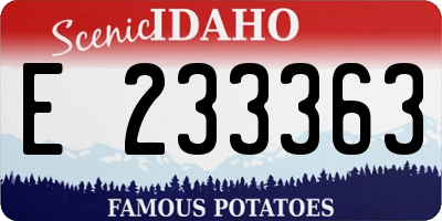 ID license plate E233363