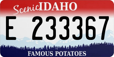 ID license plate E233367