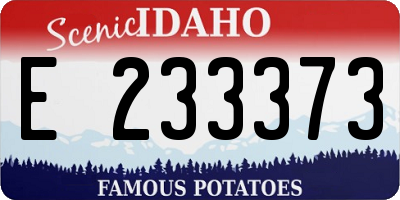 ID license plate E233373