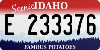 ID license plate E233376