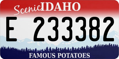 ID license plate E233382