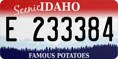 ID license plate E233384