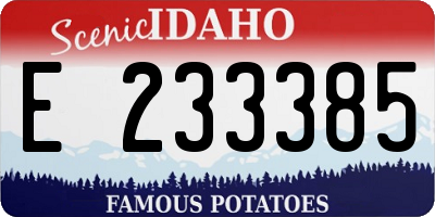 ID license plate E233385