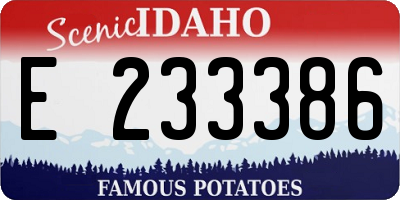 ID license plate E233386