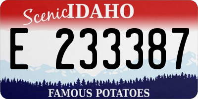 ID license plate E233387