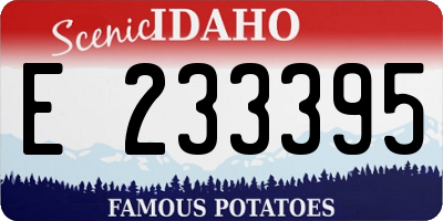 ID license plate E233395