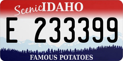ID license plate E233399
