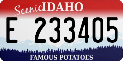 ID license plate E233405