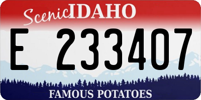 ID license plate E233407