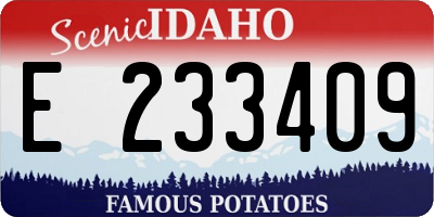 ID license plate E233409
