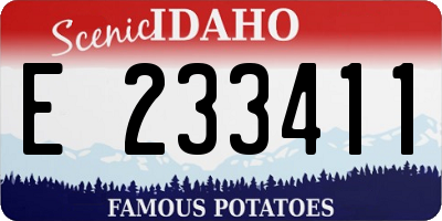 ID license plate E233411