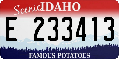 ID license plate E233413