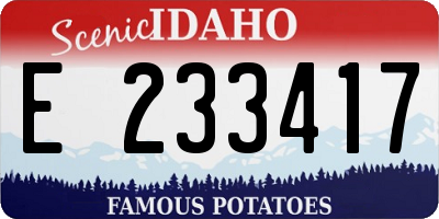 ID license plate E233417
