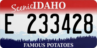 ID license plate E233428