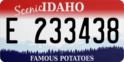 ID license plate E233438