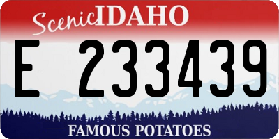 ID license plate E233439