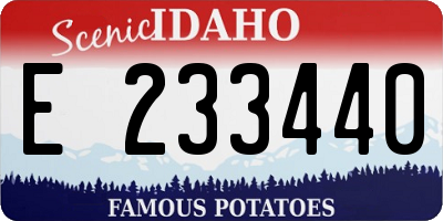ID license plate E233440
