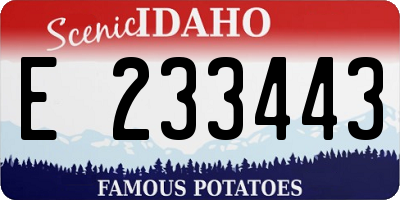 ID license plate E233443