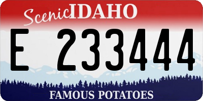 ID license plate E233444