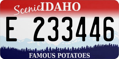 ID license plate E233446