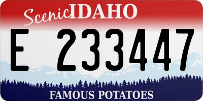 ID license plate E233447